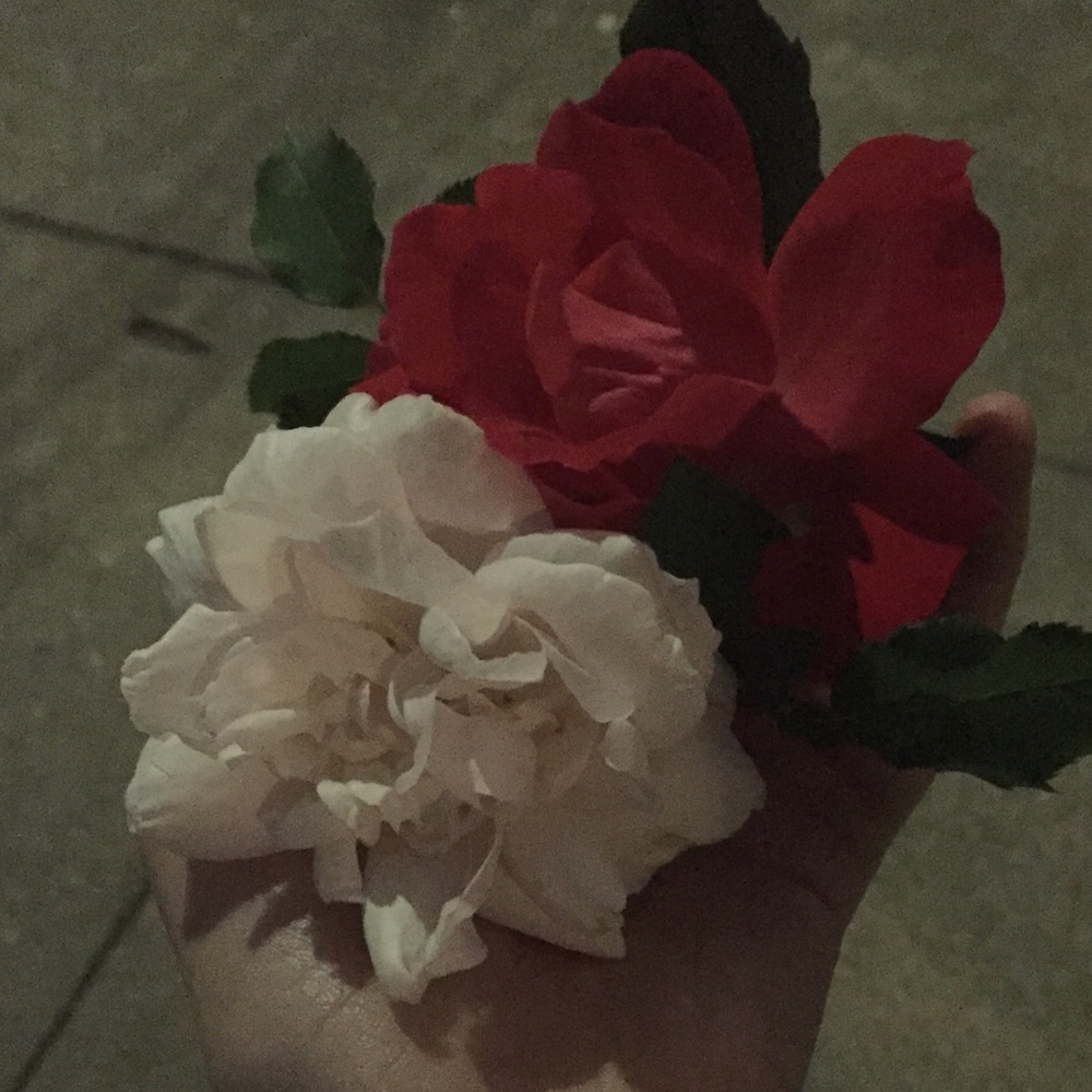 Meet your Posher, Hayley